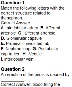 Quiz – Urinary and Reproductive Systems